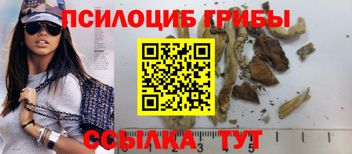 Псилоцибиновые грибы мухоморы  Галлюциногенные грибы Cubensis  Осинники  Вход с VPN 